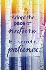 Adopt the Pace of Nature